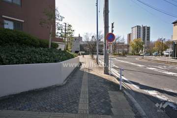 敷地西側の前面道路(北側から)