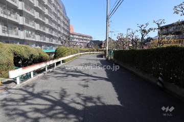 敷地北側の前面道路（西側から）