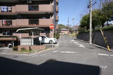敷地東側の前面道路（南側から）
