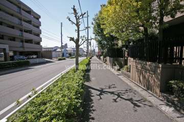 敷地南側の前面道路(東側から)