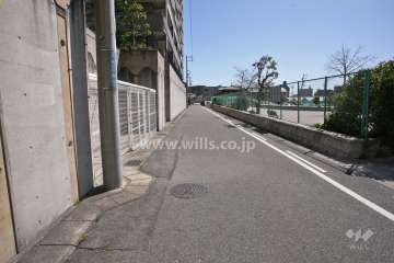 敷地西側の前面道路(北側から)