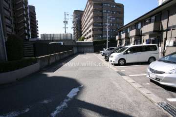 敷地北側の前面道路（東側から）