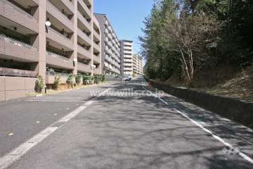 敷地南側の前面道路