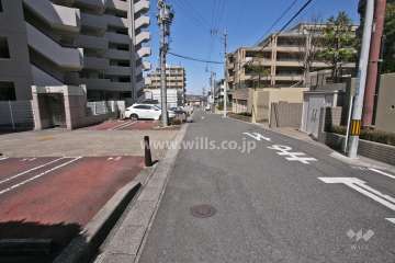 敷地東側の前面道路(南側から)