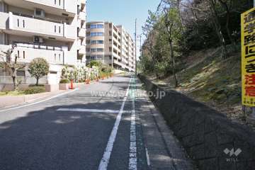 敷地南側の前面道路(西側から)