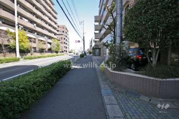敷地北側の前面道路(西側から)