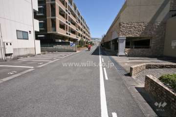 敷地南側の前面道路(西側から)