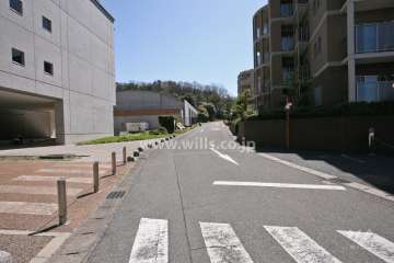 敷地東側の前面道路(北側から)