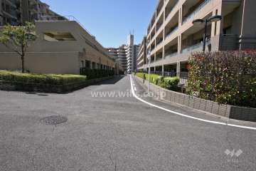 敷地北側の前面道路(東側から)
