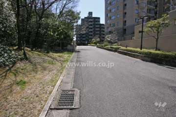 敷地東側の前面道路(北側から)