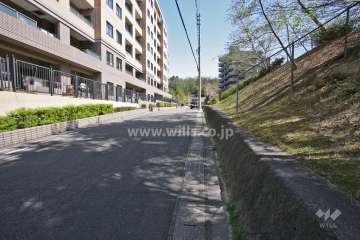 敷地南側の前面道路(西側から)