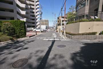 敷地西側の前面道路(南側から)