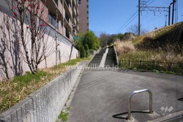 敷地南側の前面道路