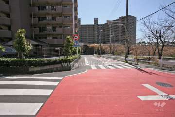 敷地西側の前面道路