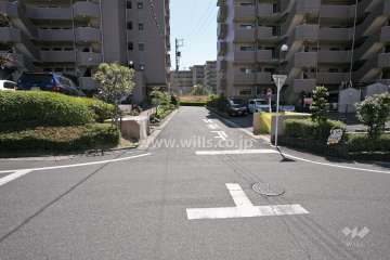 敷地西側の前面道路