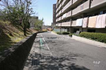 敷地南側の前面道路（東側から）
