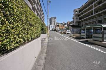敷地北側の前面道路(東側から)