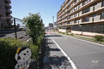 敷地南側の前面道路(東側から)