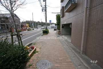 敷地東側の前面道路（北側から）