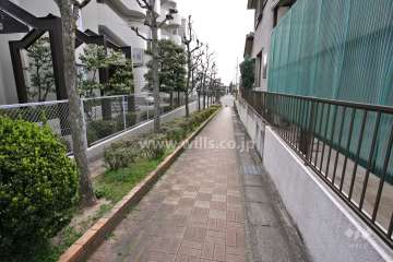 通路（西側）