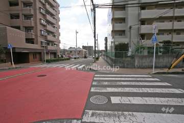 敷地西側の前面道路