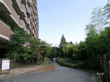 敷地南側にある駐車場に続く道