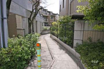 敷地東側の通路