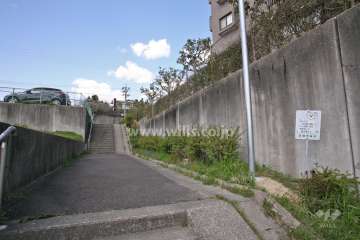 敷地西側の通路