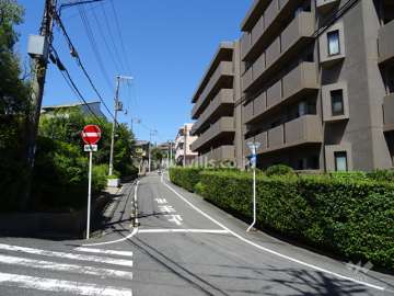 敷地南西側の前面道路（南東側から）