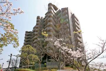 香久山パークスクエアサウスリッジの外観(北西側から)