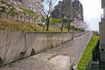 敷地出入り口(西側)