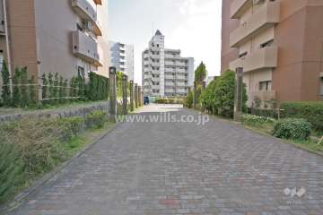 敷地内西側の通路