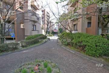 敷地内の東側通路