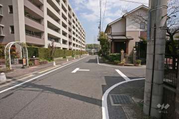 敷地南側の前面道路（西側から）