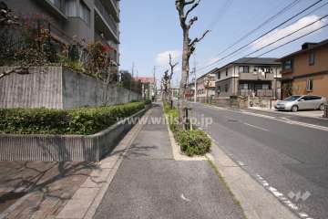 敷地東側の前面道路