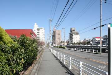 敷地南側の前面道路