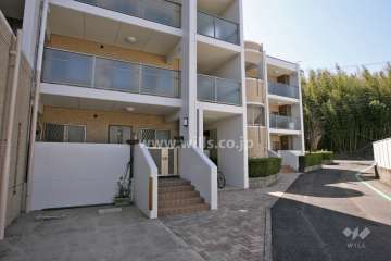 敷地北西側の前面道路(北側から)