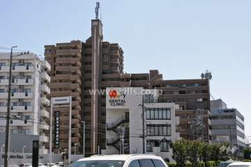 ライオンズガーデン赤池の外観(東側から)