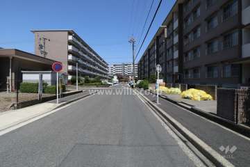 敷地西側の前面道路（西側から）