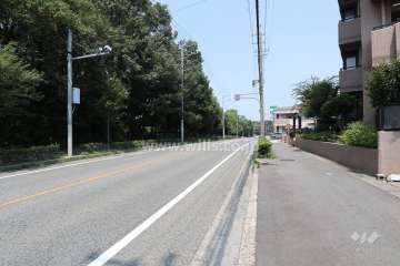 敷地西側の前面道路（南側から）