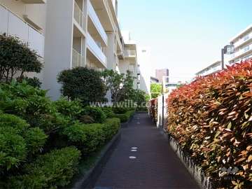 植栽スペースに囲まれた通路