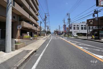 敷地南側の前面道路（西側から）