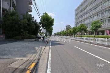 敷地北側の前面道路（東側から）