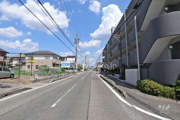 敷地北側の前面道路（西側から）