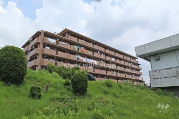 チサンマンション三郷弐番館の外観（南西側から）