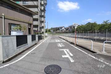 敷地東側の前面道路（南側から）