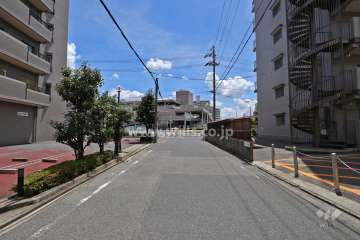 敷地西側の前面道路（北側から）