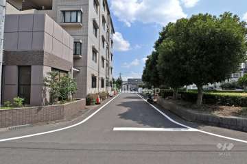 敷地西側の前面道路（北側から）