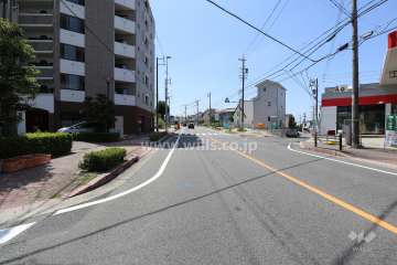 敷地西側の前面道路（北側から）