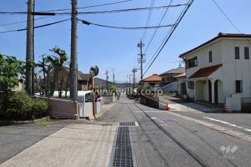 敷地南側の前面道路（西側から）